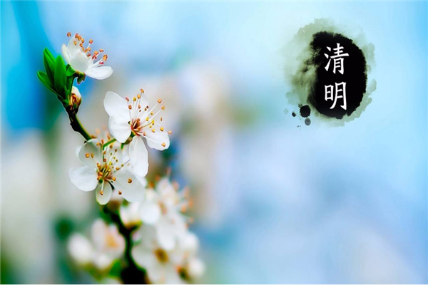 2468顺发彩票喷塑设备厂家 | 清明时节哀思中蕴含着希望
