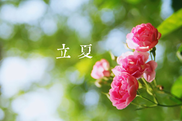 2468顺发彩票涂装|立夏,万物向阳,且共成长